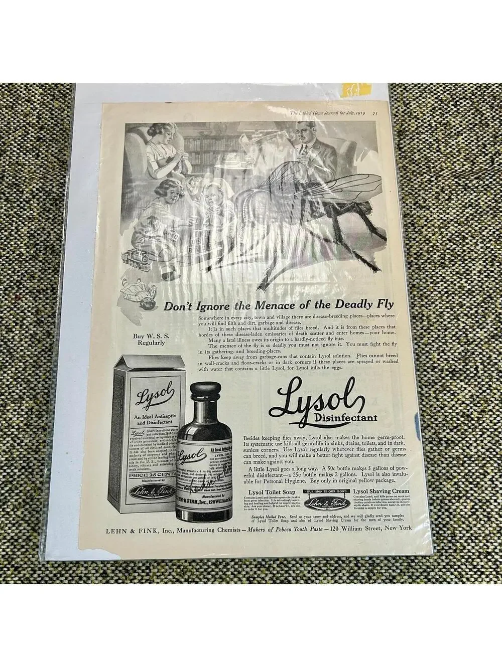 Vintage 1919 Lysol Disinfectant Ad‎ Ladies Home Journal Deadly Fly Art